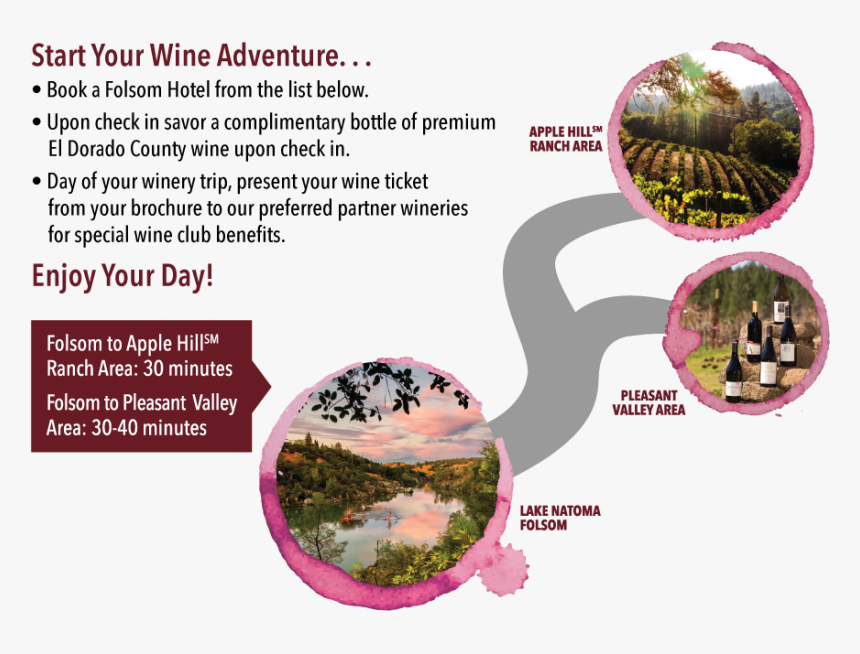 Tree, HD Png Download