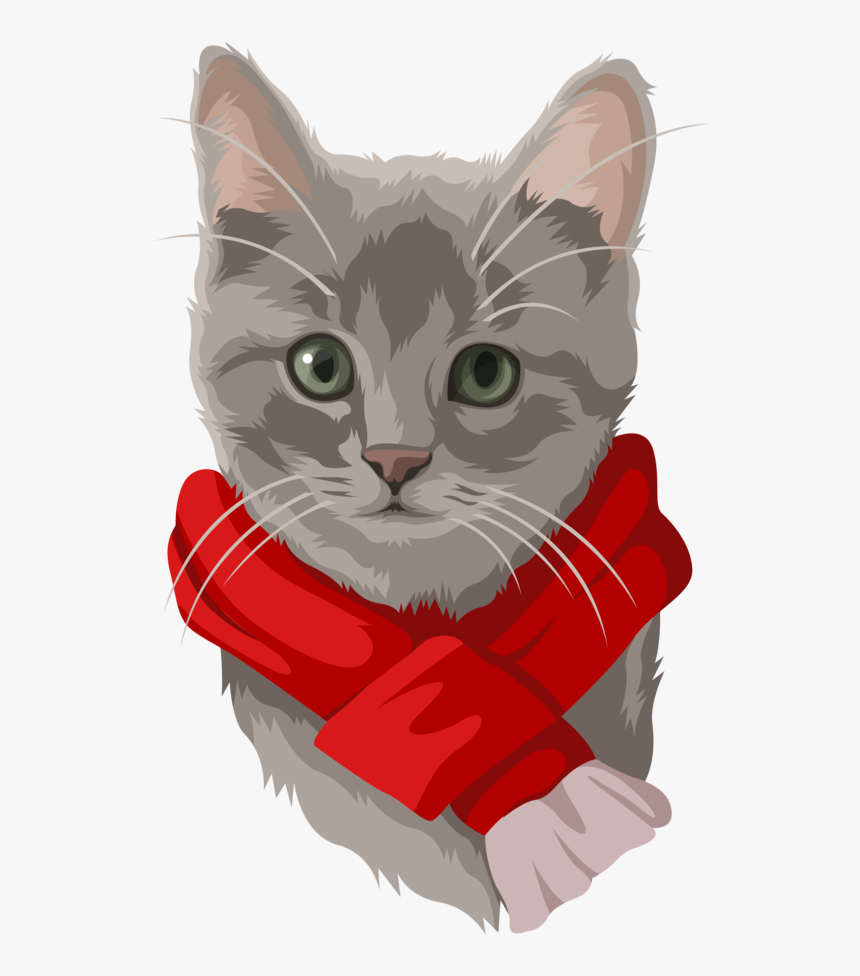 Card Gray Cat2 - Kitten, HD Png Download