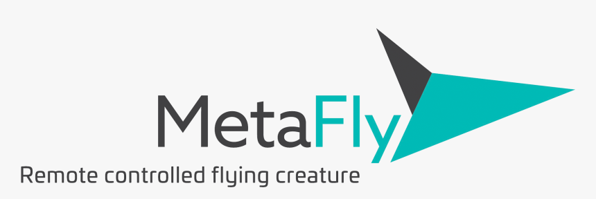 Graphic Design, HD Png Download