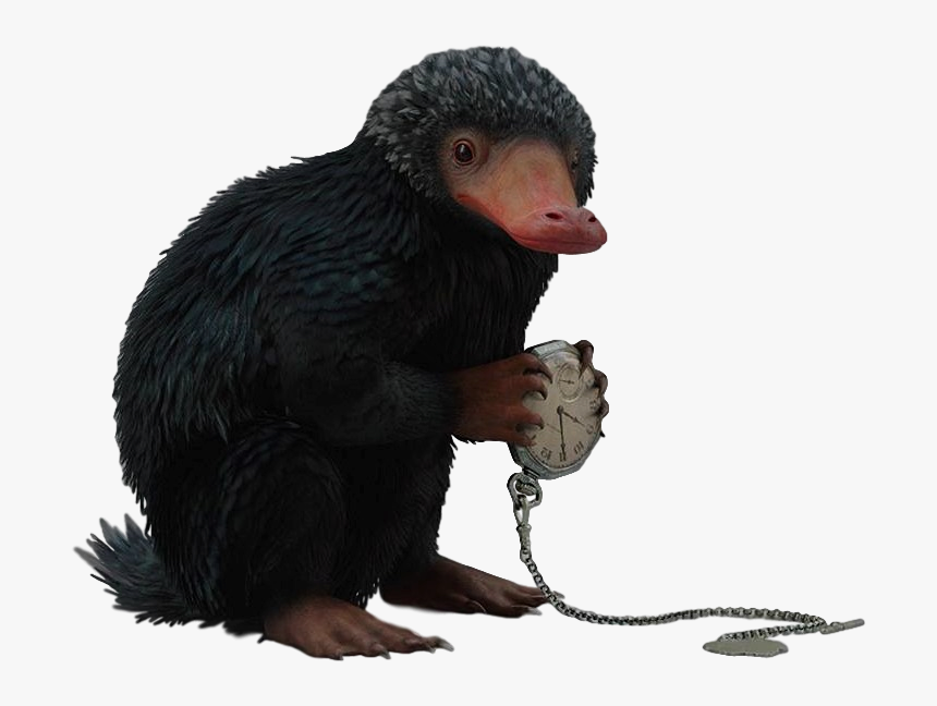 Thumb Image - Fantastics Beasts Niffler Png, Transparent Png