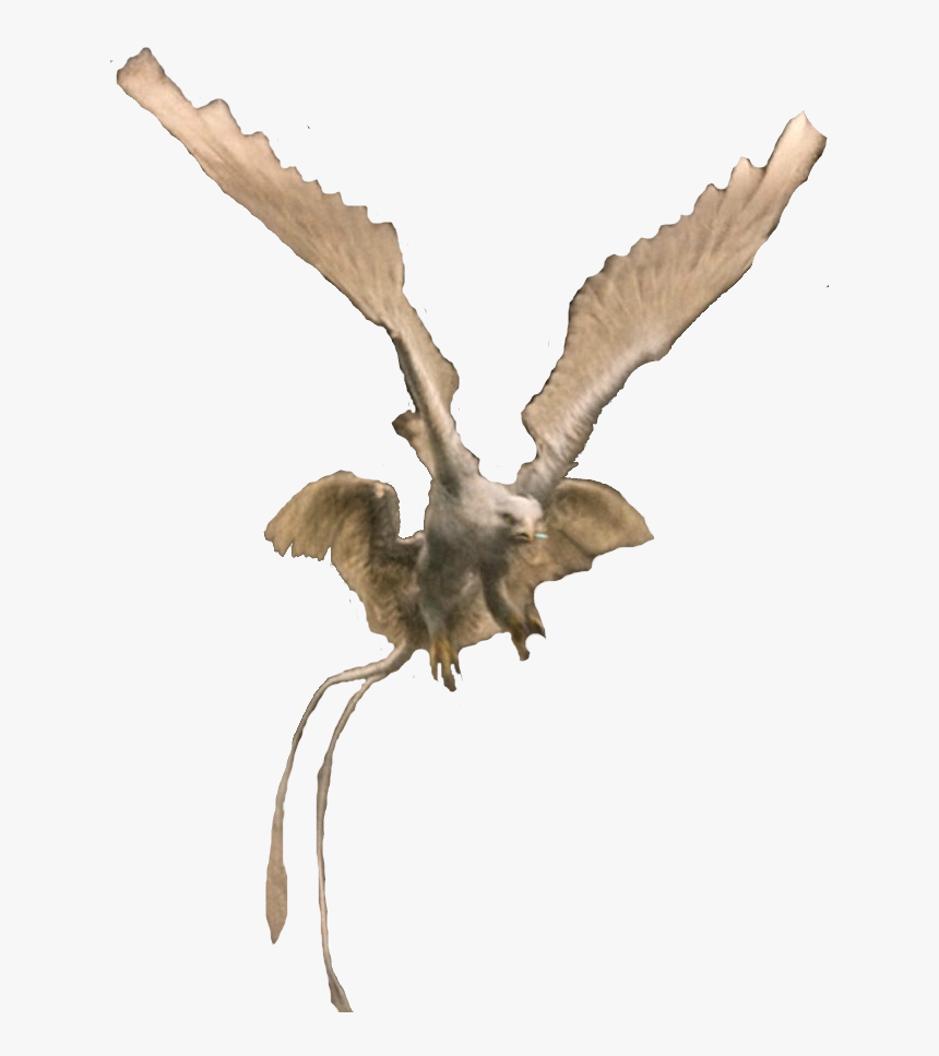Fantastic Beasts Creature Thunderbird, HD Png Download