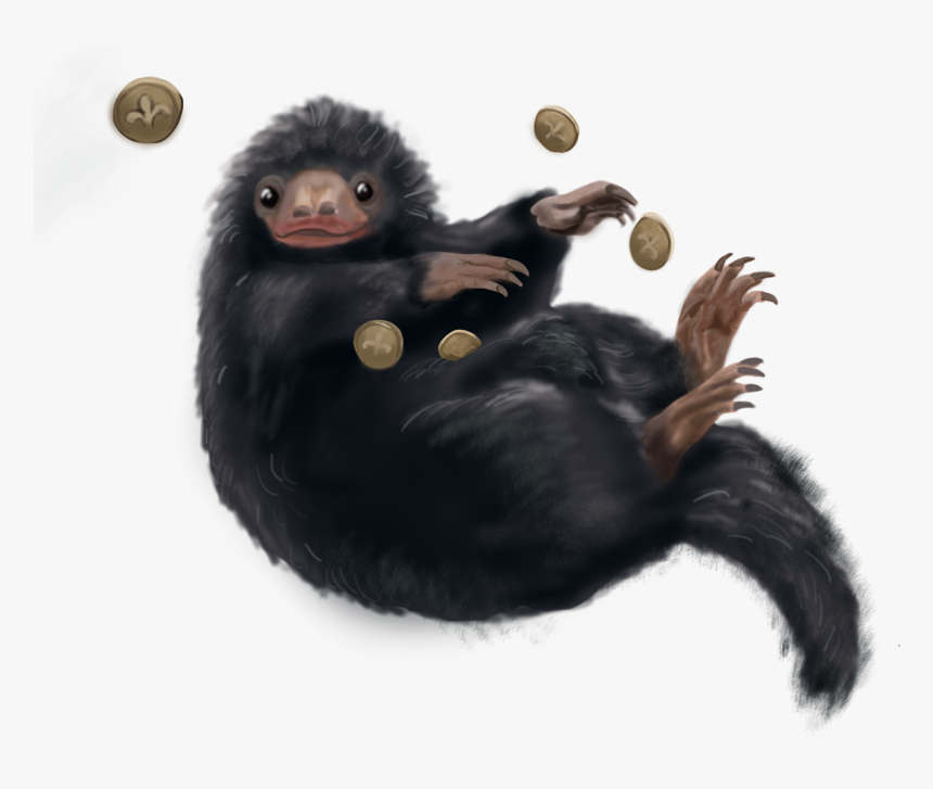 Macaque, HD Png Download