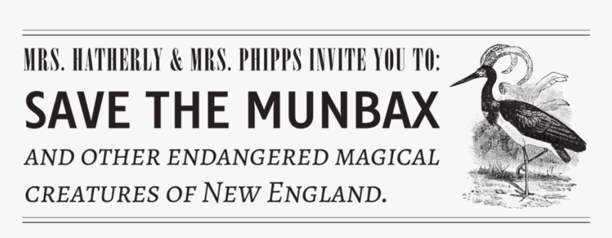 Intro Graphic - American Woodcock, HD Png Download