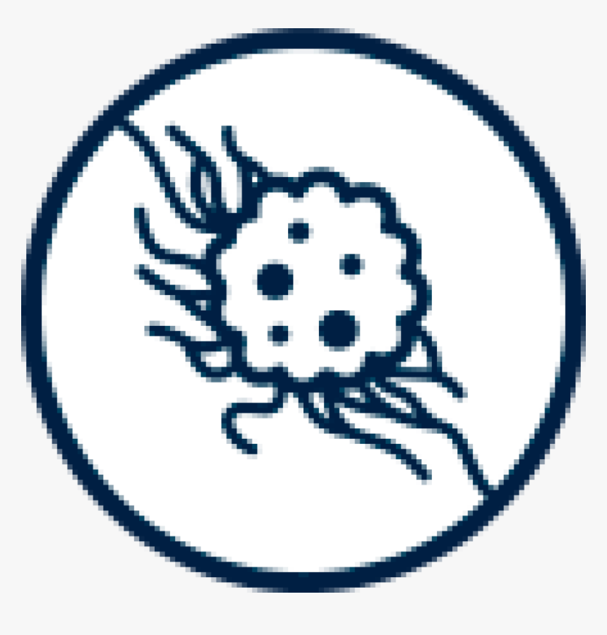 Microphone, HD Png Download