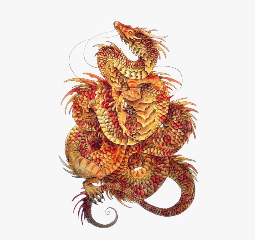 Tumblr N1xmnobrwz1rmdkvao1 - T-shirt, HD Png Download