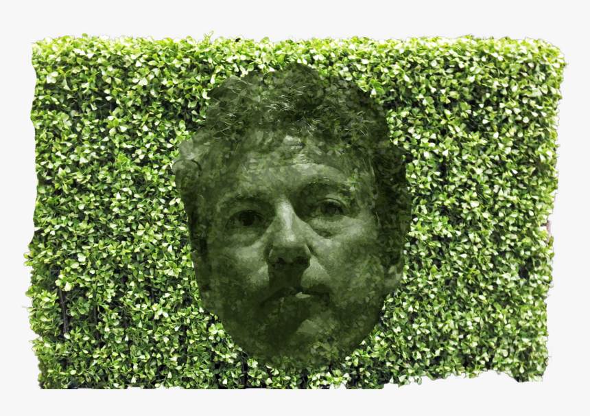 Paul Hedge - Transparent Hedge, HD Png Download