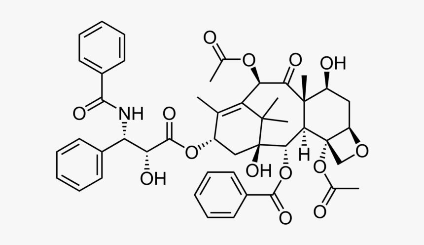 Molecular Structure Of Coca Cola, HD Png Download