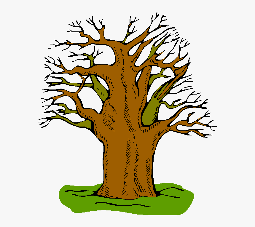 Great American Smokeout American Cancer Society - Model Of Adjective Tree, HD Png Download