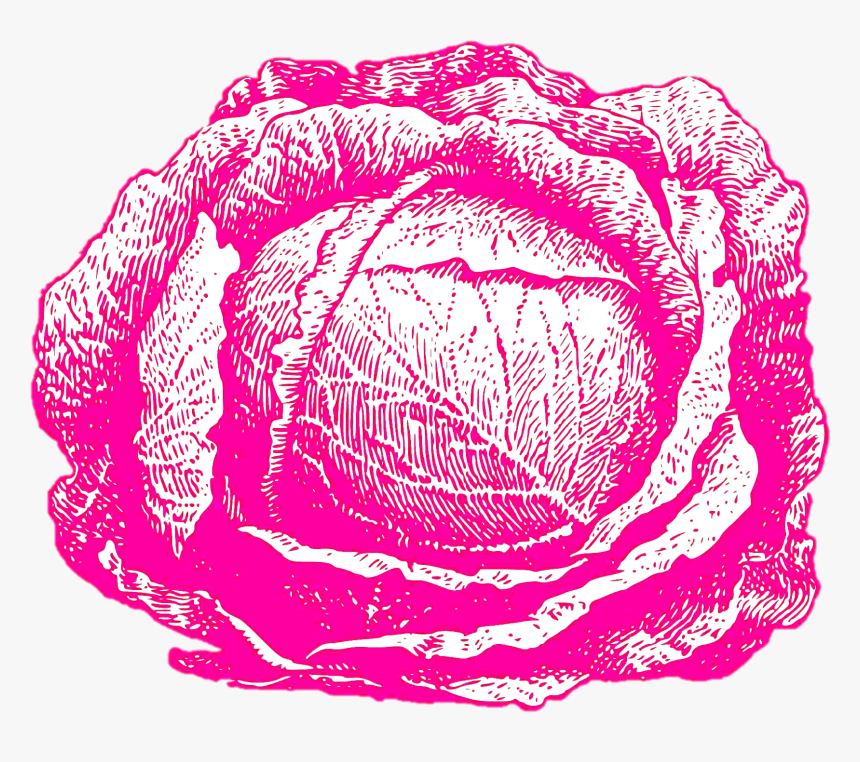 Cabbage White And Black Seeds, HD Png Download