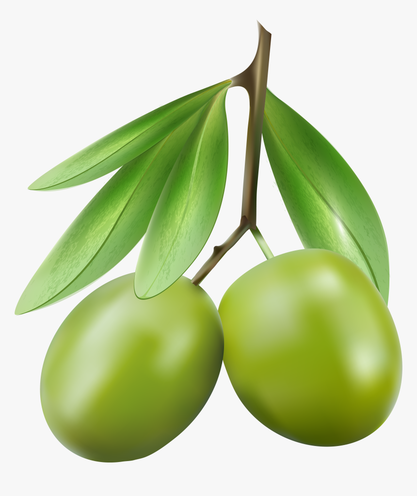 Clip Art Olives Png - Olive Clipart Png, Transparent Png