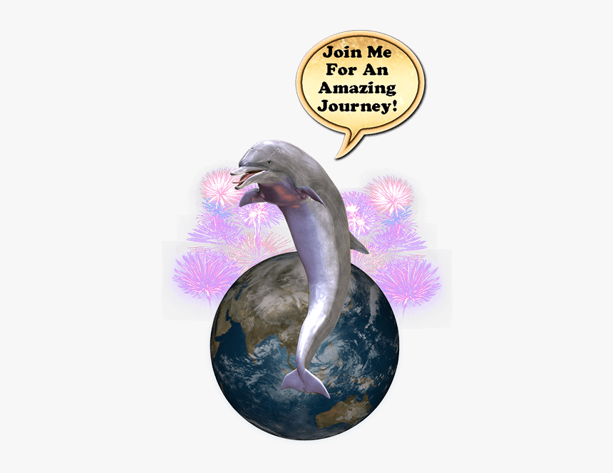 Where S The Dolphin Sticker Pack For Imessage Messages - Common Bottlenose Dolphin, HD Png Download
