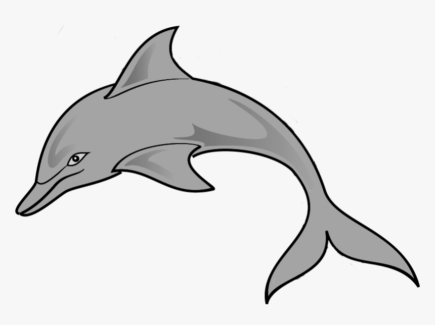 Clipart Of Common, Gray And Dolphin Of - Common Bottlenose Dolphin, HD Png Download