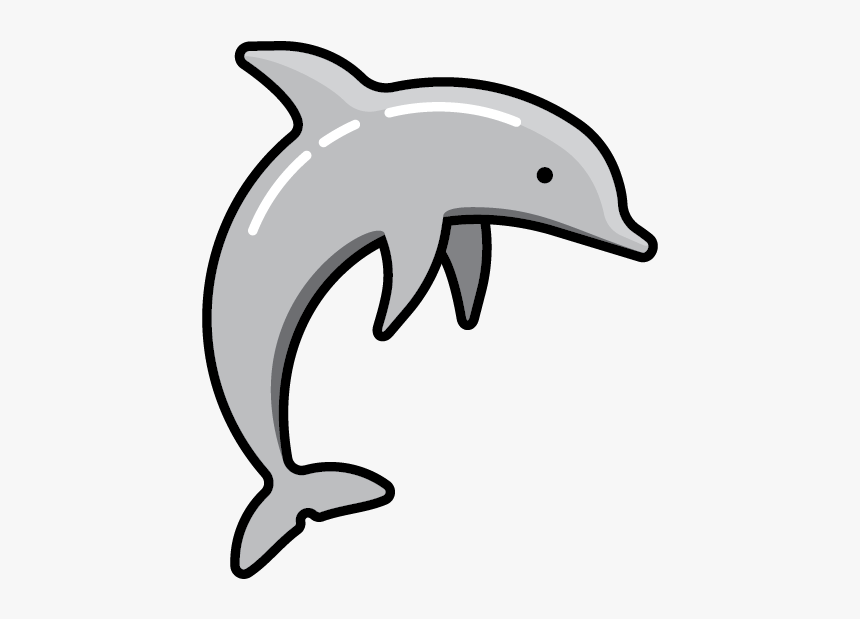 Common Bottlenose Dolphin, HD Png Download