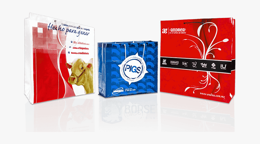 Custom Printed Cord Or Ribbon Handle Paper Bags - Graphic Design, HD Png Download