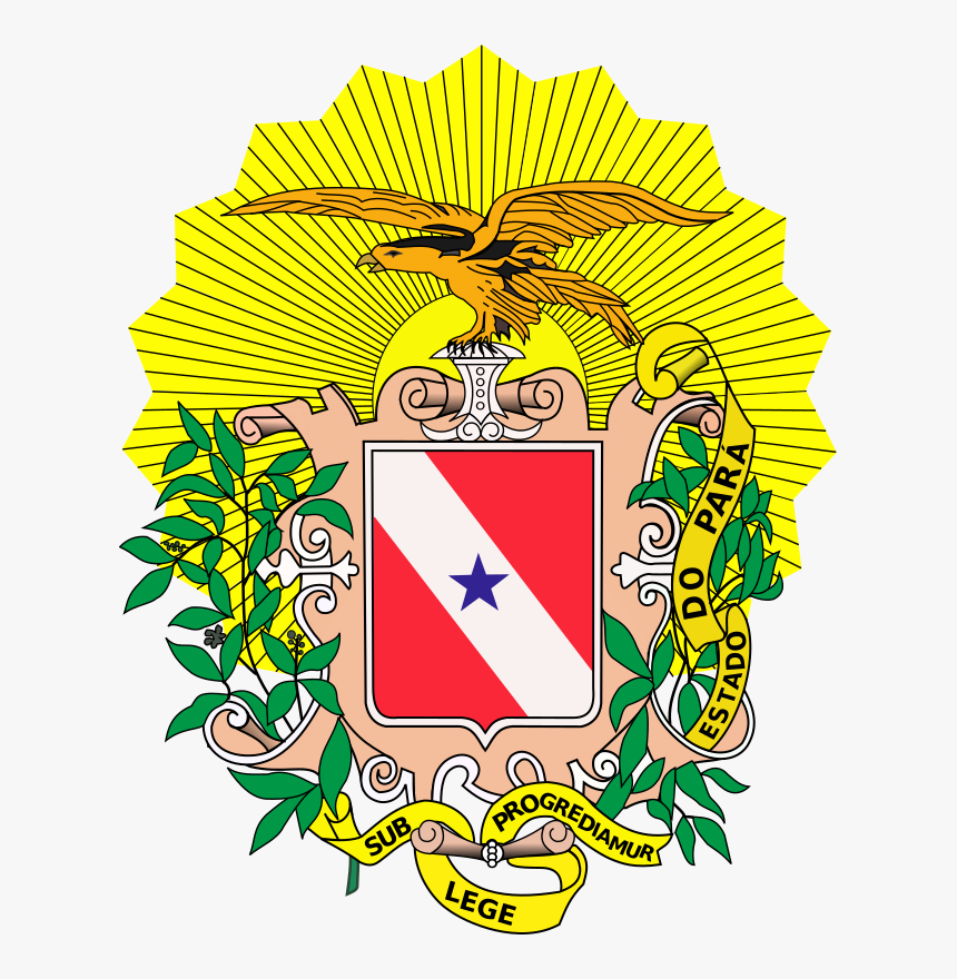 Brasão Do Estado Do Pará - Federal University Of Pará, HD Png Download