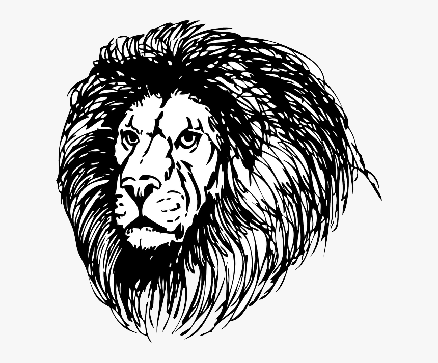 Lion, Lionhead, Cat, Head, Black, Tribal, Outline - Lion Witch Wardrobe Clipart, HD Png Download