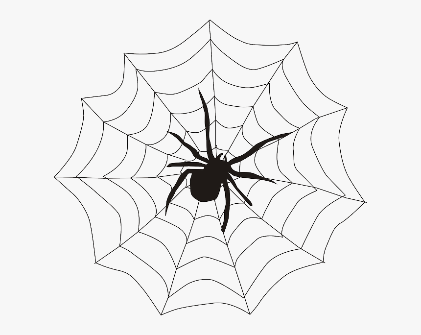 Spider In A Web Clipart, HD Png Download