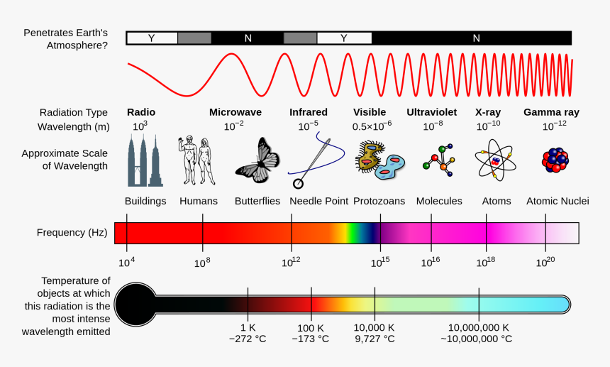 Https - //en - Wikipedia - Org/wiki/electromagnetic - Type Of Electromagnetic Radiation Has The Longest Wavelength, HD Png Download