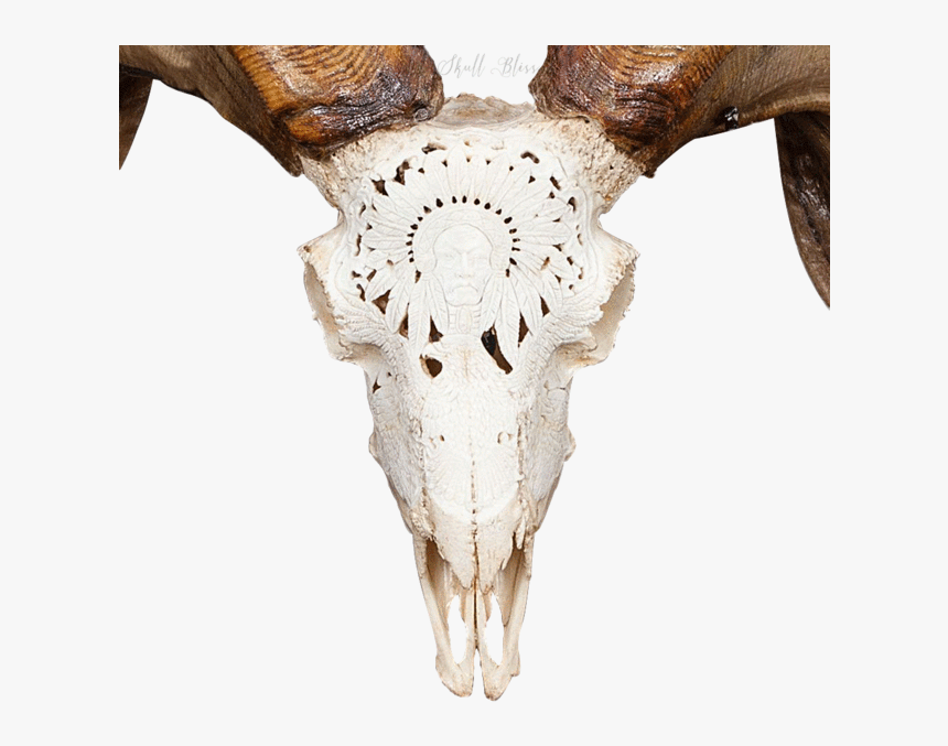 Carved Ram Skull - Ram Skull Png, Transparent Png
