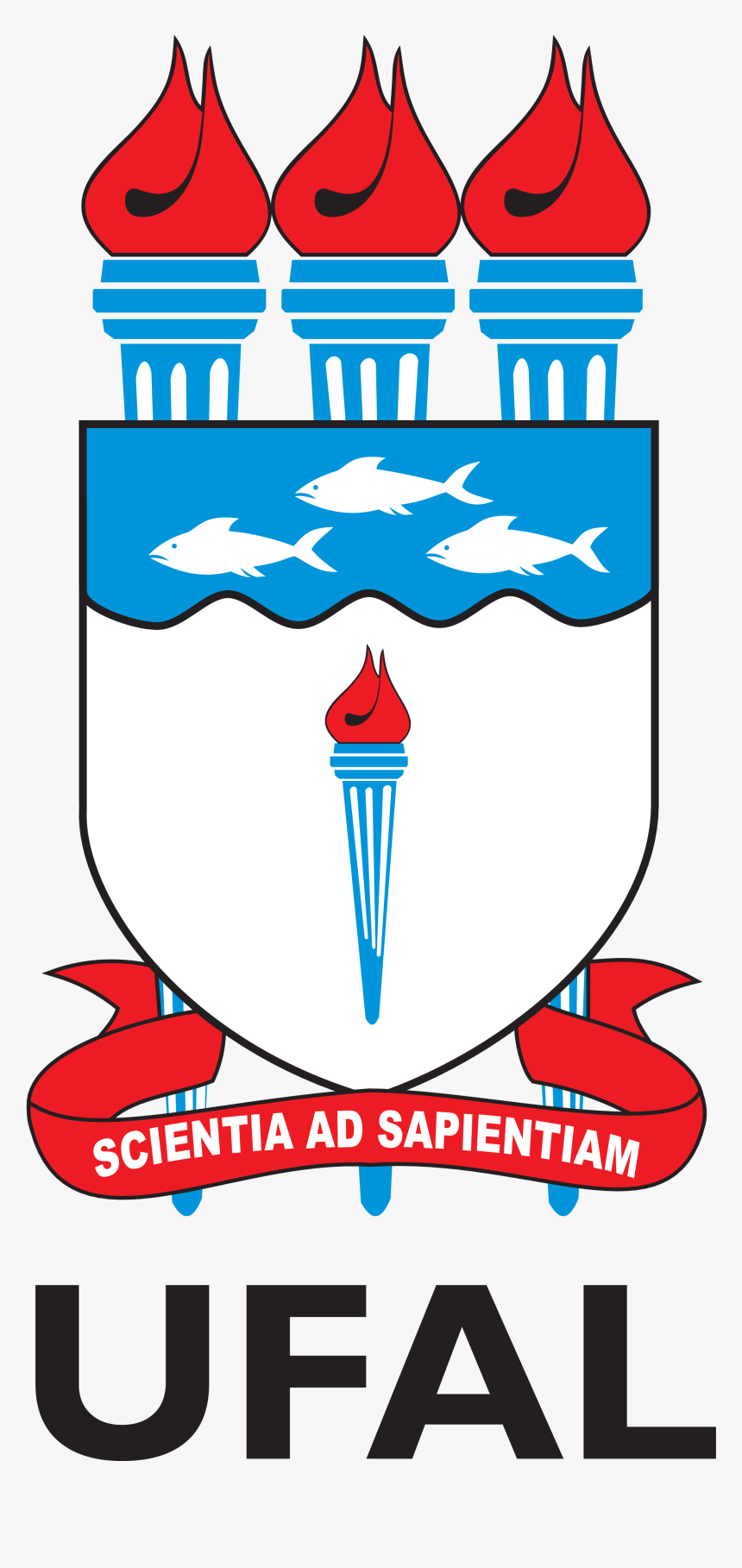 Png - Universidade Federal De Alagoas, Transparent Png