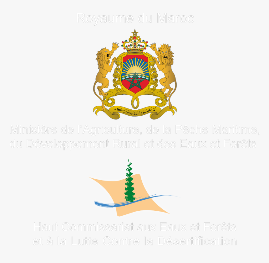 Transparent E - T - Png - - Haut Commissariat Aux Eaux - Moroccan Coat Of Arms, Png Download