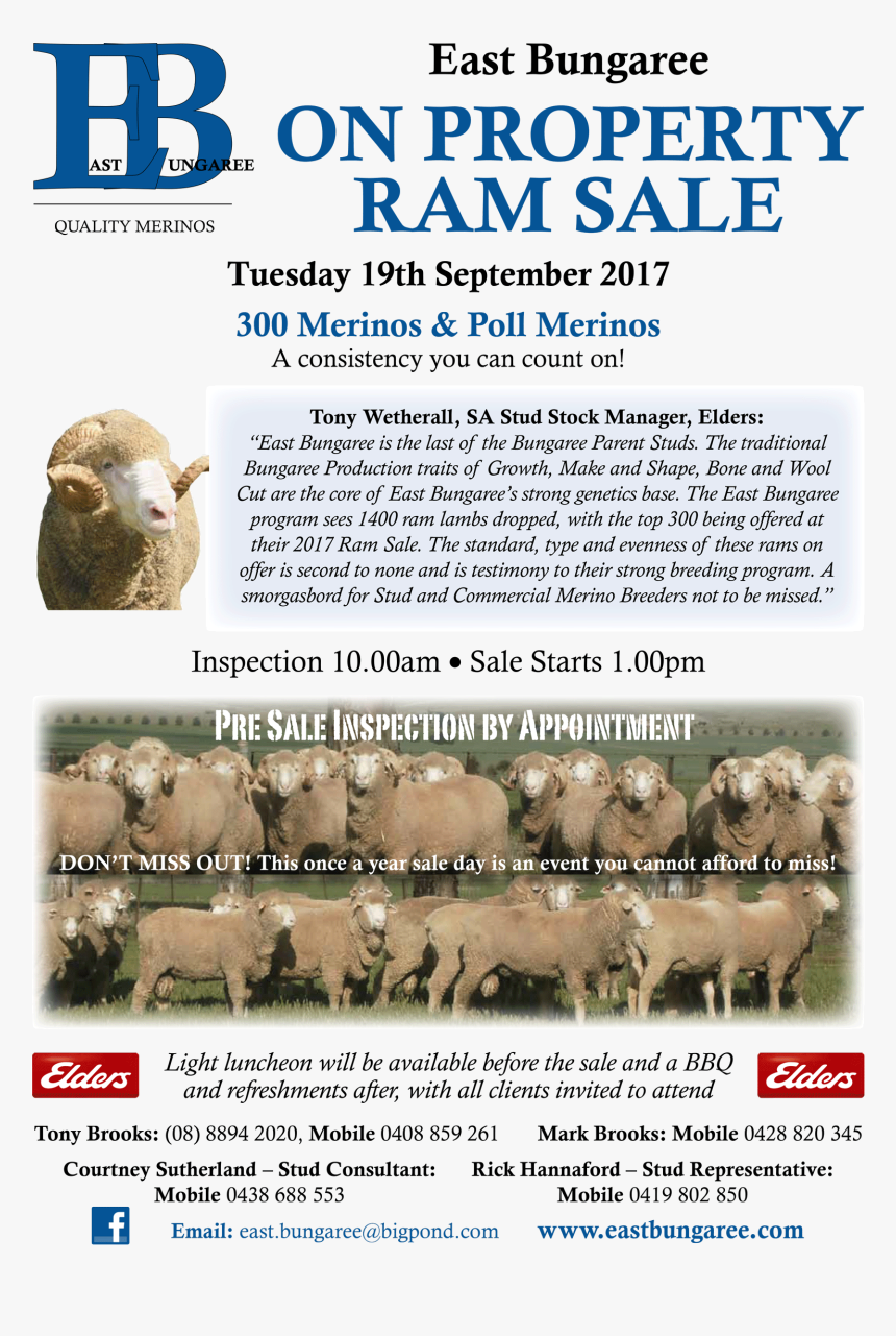 Client Letter - Herd, HD Png Download