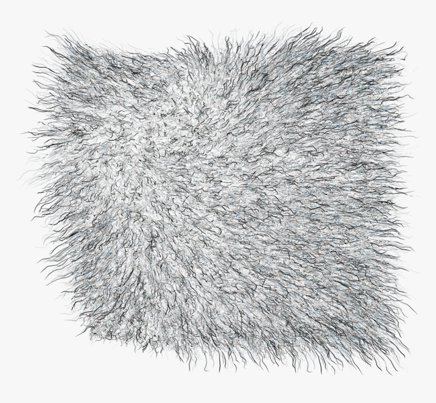 Sketch, HD Png Download