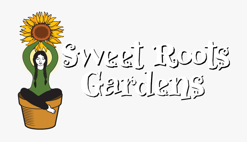 Sunflower, HD Png Download