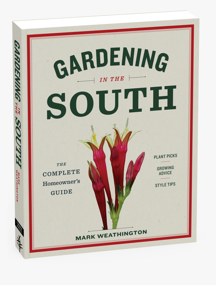 Cover - Canna Lily, HD Png Download