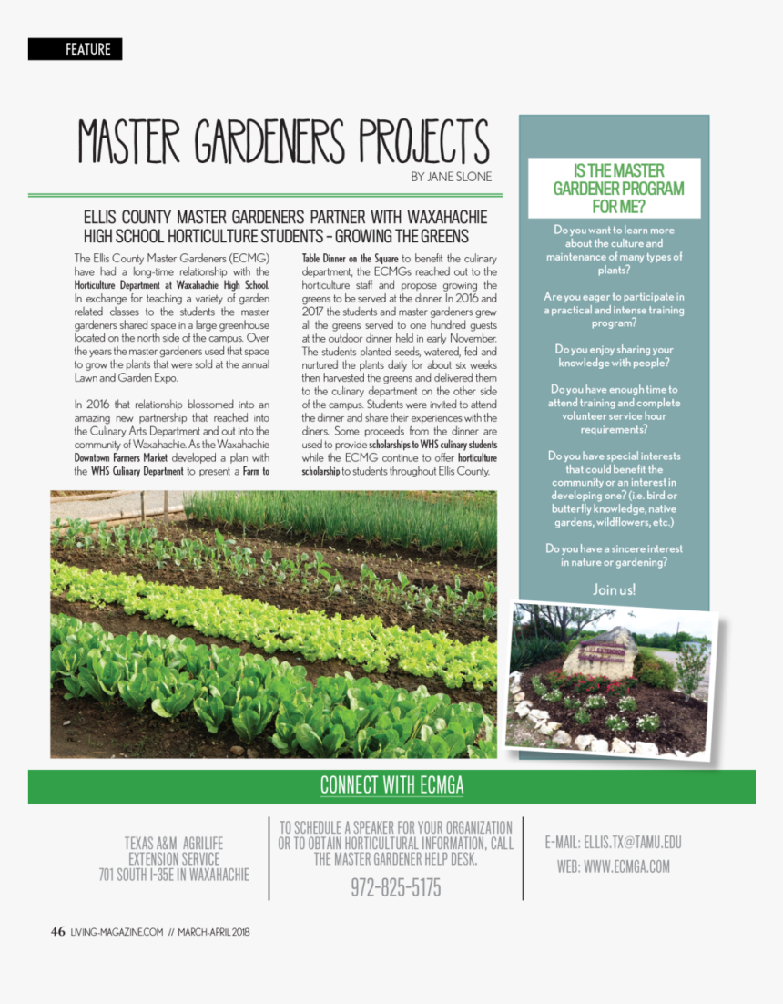 Living46, HD Png Download