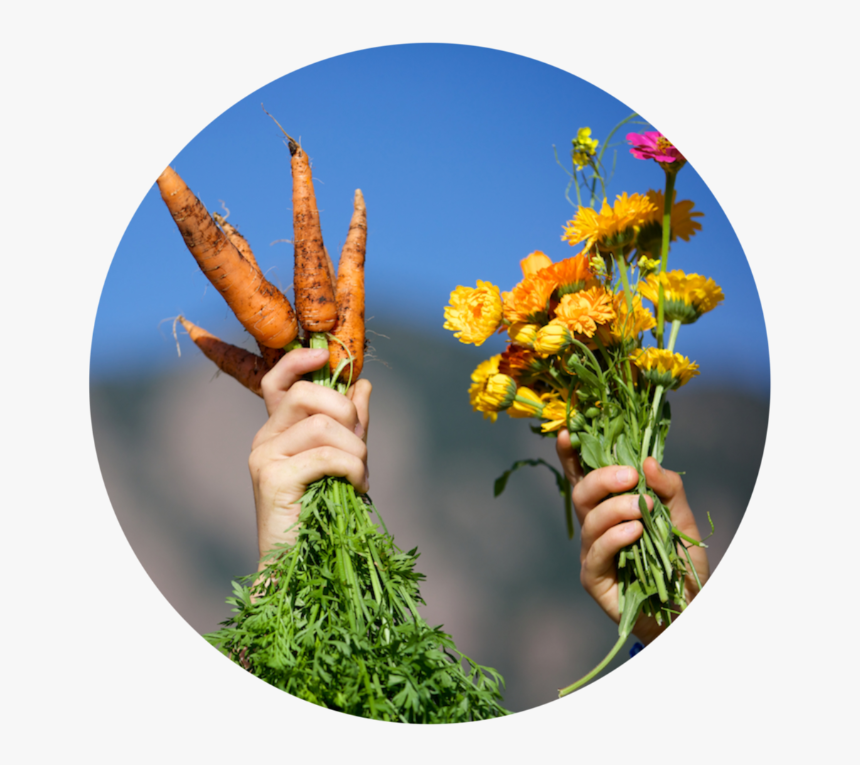 155 Boundless Landscapes 2019 08 07 D31a3173 - Bouquet, HD Png Download