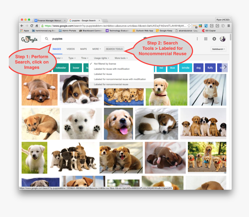 Screen Shot 2016 03 22 At - West Highland White Terrier, HD Png Download