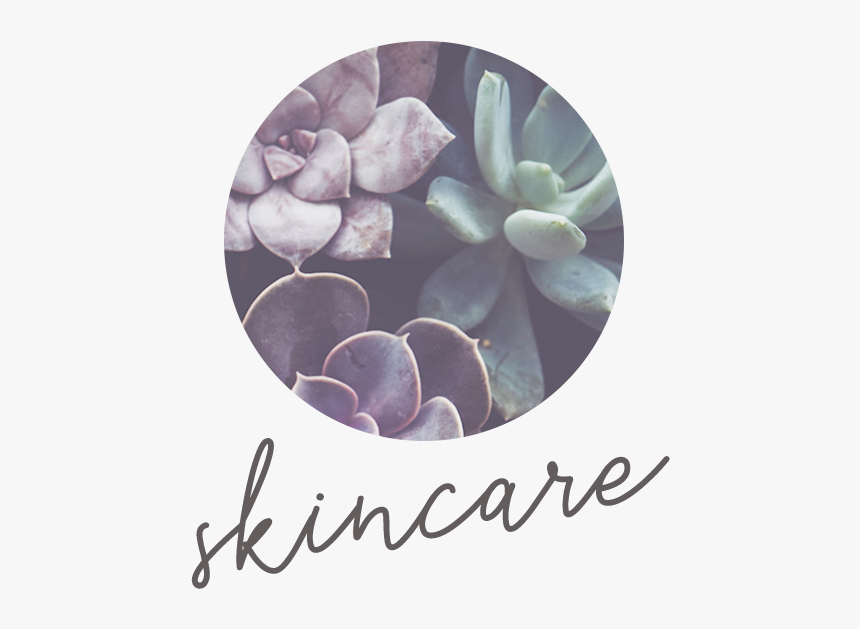 Skincare-thumb - Calligraphy, HD Png Download