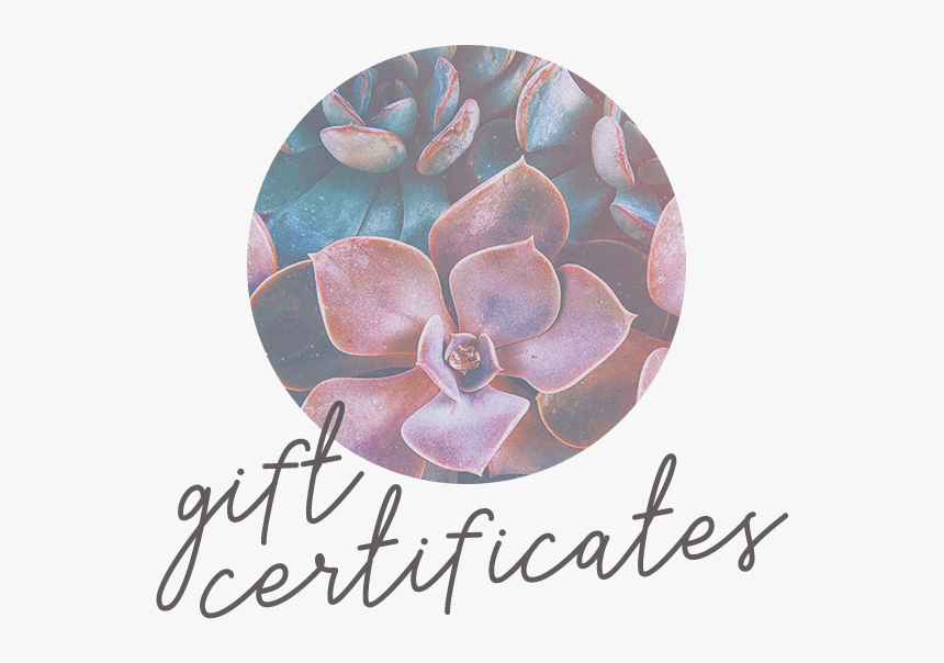 Holistica Gift Certificates Thumb - Echeveria, HD Png Download