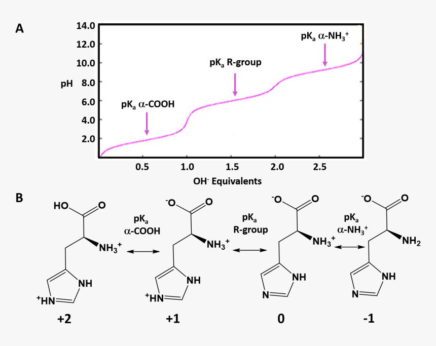 Plot, HD Png Download