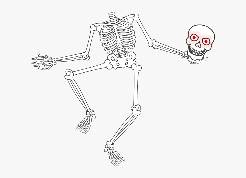 Skeletonani 1024 - Cartoon, HD Png Download