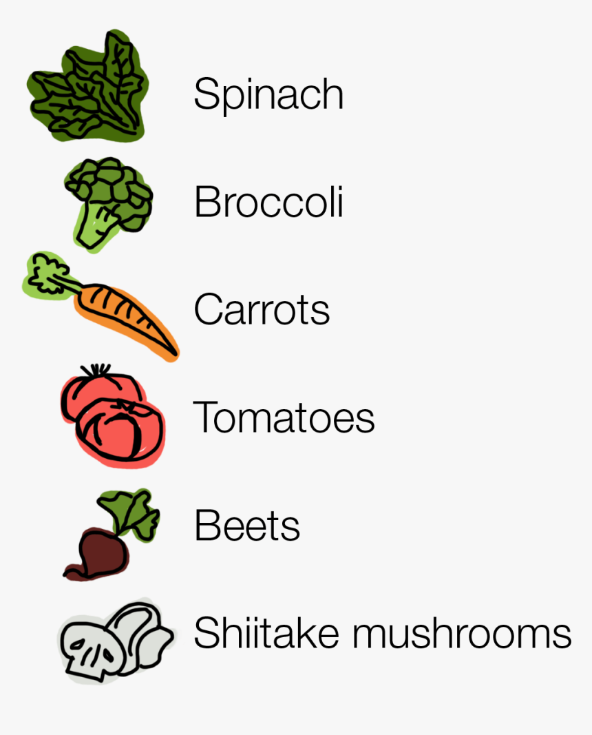 Slide#2-product Features - Illustration, HD Png Download