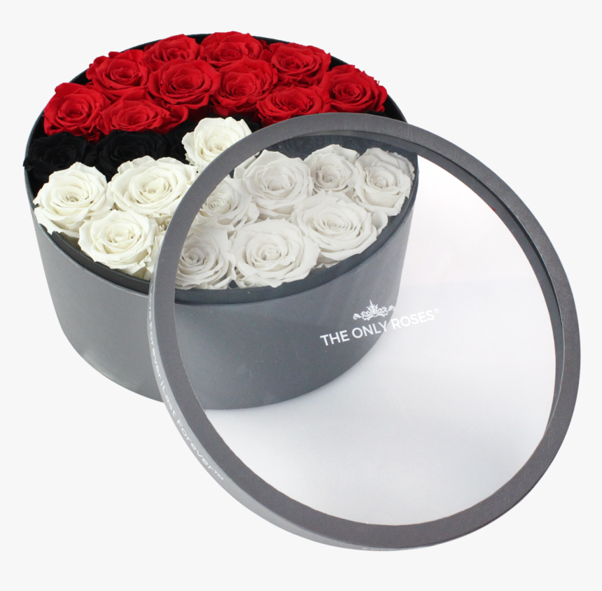 Garden Roses, HD Png Download