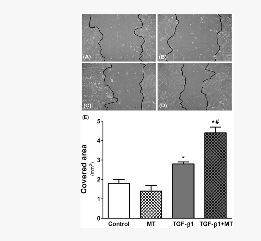 Diagram, HD Png Download