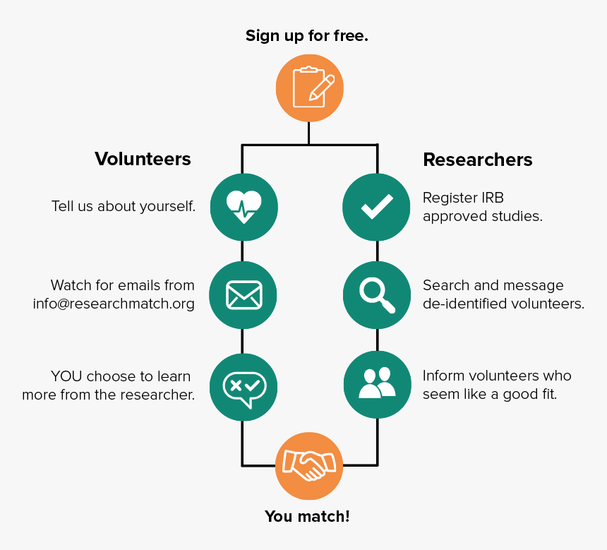 Diagram, HD Png Download