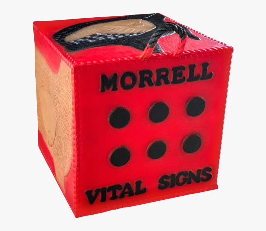Vital Signs Combo 2 Field Point & Broadhead - Box, HD Png Download