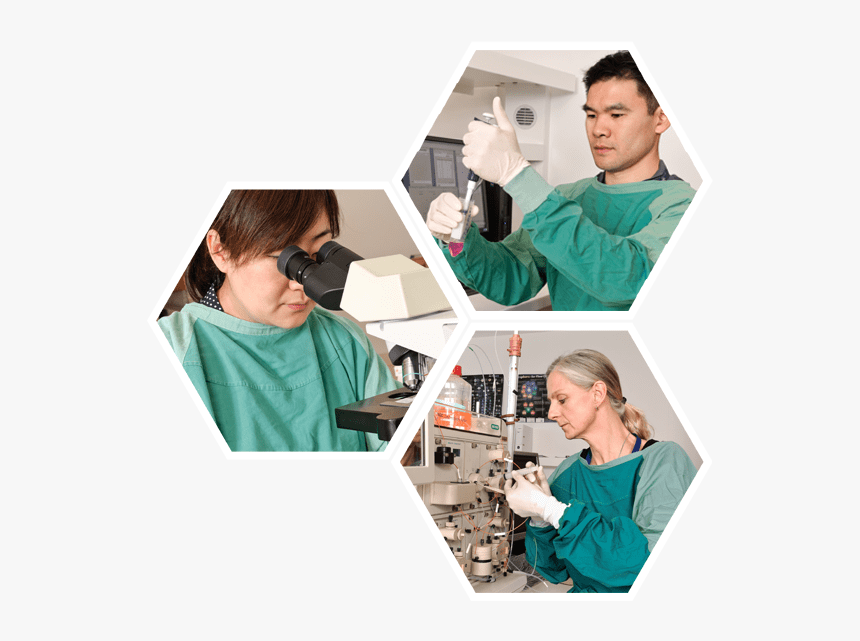 Anzac Research - Clinic, HD Png Download