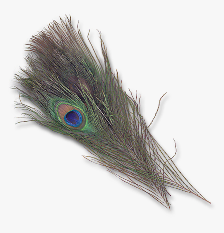 Natural Peacock Eyes - Feather, HD Png Download