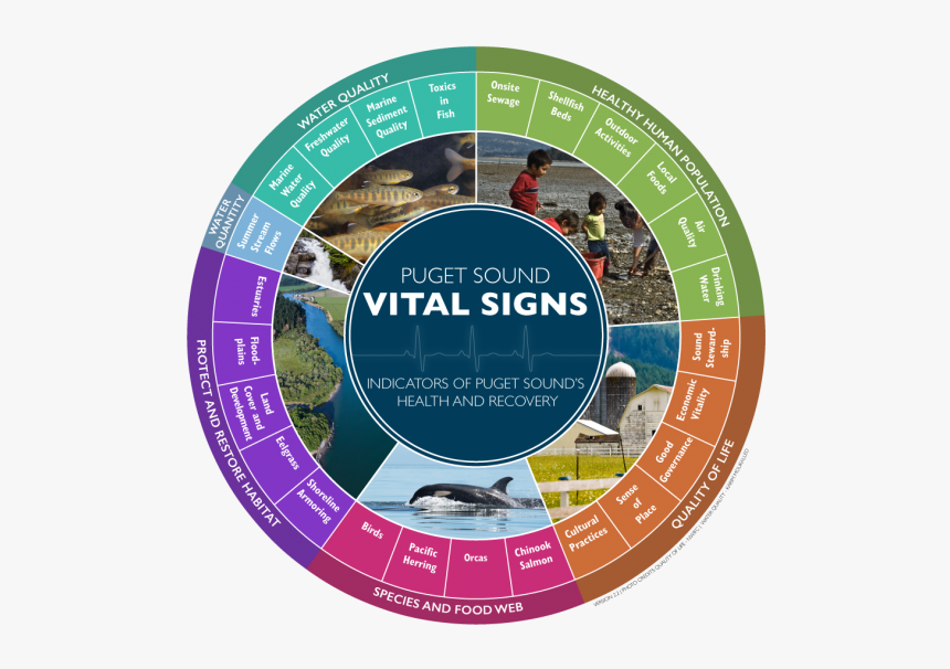 As Of 2016, The Puget Sound Vital Signs Wheel Shows - Puget Sound Vital Signs, HD Png Download