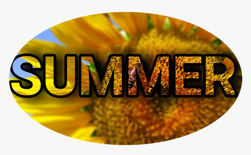 Last Day Of School, HD Png Download