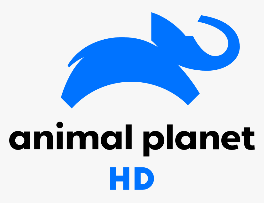 Mihsign Vision - Animal Planet Hd Logo, HD Png Download