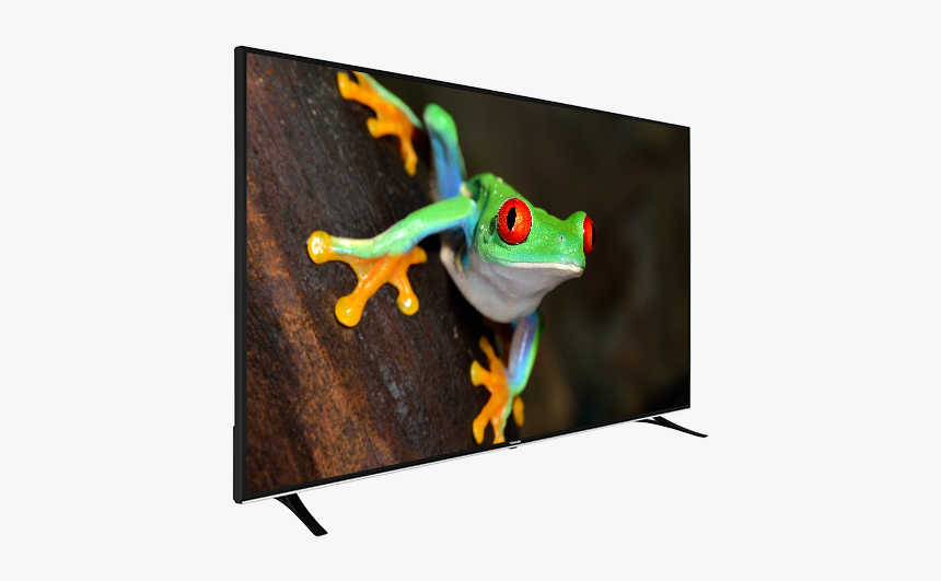 75 - Agalychnis Callidryas Face, HD Png Download