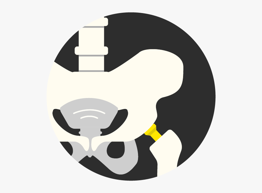 Emblem, HD Png Download