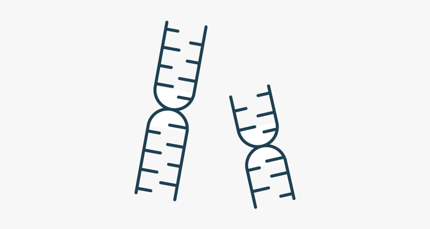 Okay - Parallel, HD Png Download