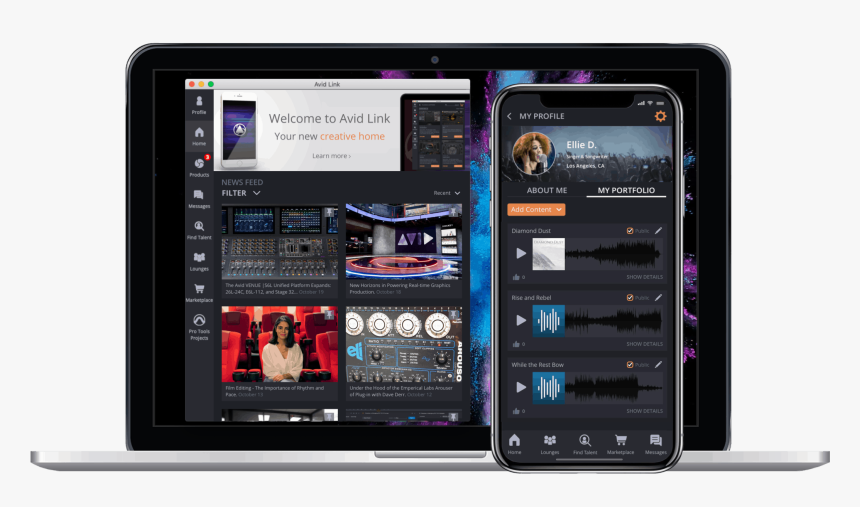 Avid Link, HD Png Download